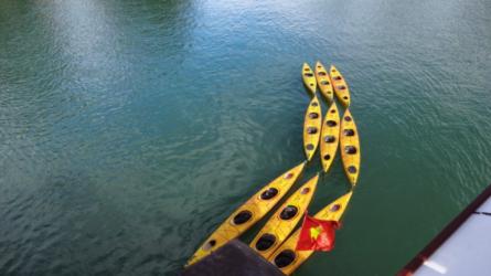 Kayaks