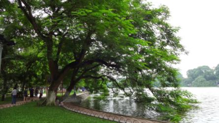 Hoàn Kiếm Lake