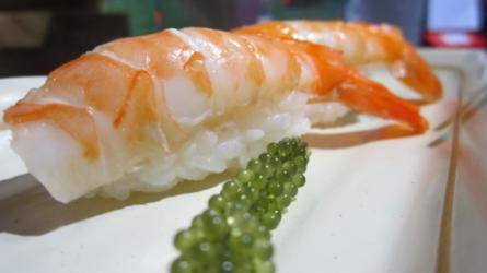 Shrimp Nigiri