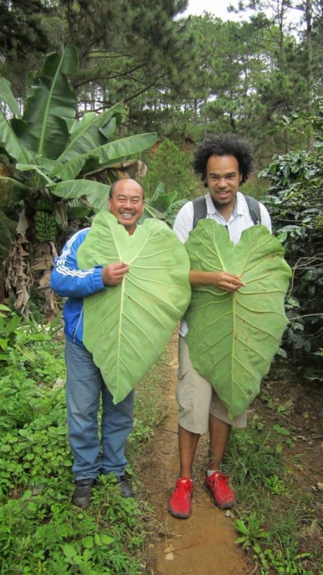 Leaf as big as me!